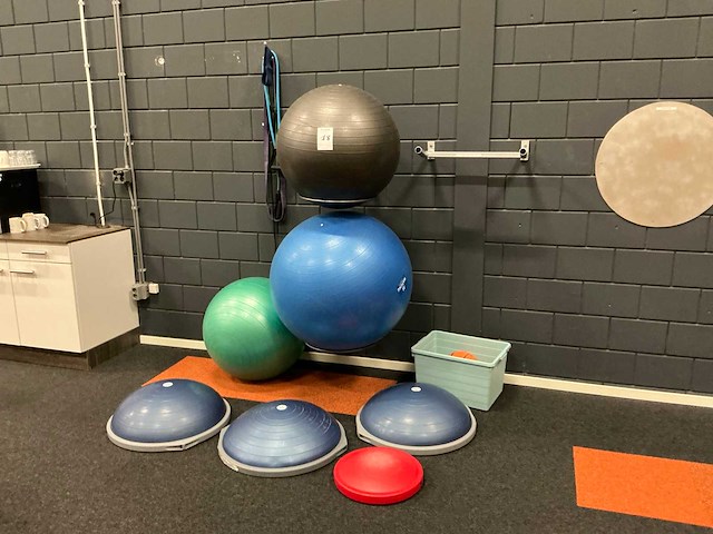 Gymbal (3x) - afbeelding 1 van  10