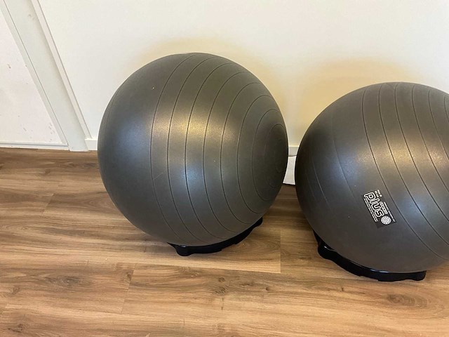 Gymnastiekbal (5x) - afbeelding 4 van  4