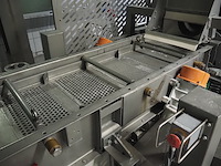 H. wichelmann - afbeelding 11 van  40