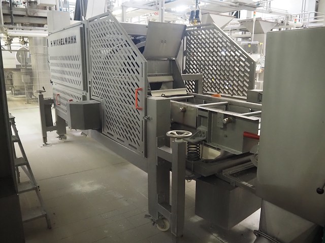 H. wichelmann - afbeelding 36 van  40