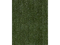 Haag canada super groen 180 x 300 cm - afbeelding 2 van  4