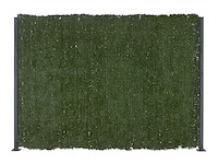 Haag canada super groen 180 x 300 cm - afbeelding 3 van  4