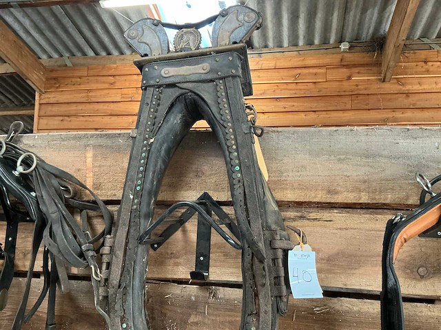 Haam - afbeelding 1 van  5