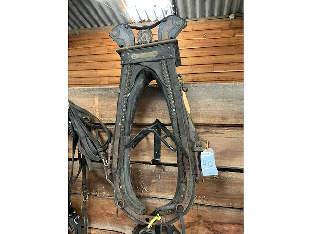 Haam - afbeelding 2 van  5