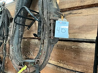 Haam - afbeelding 5 van  5