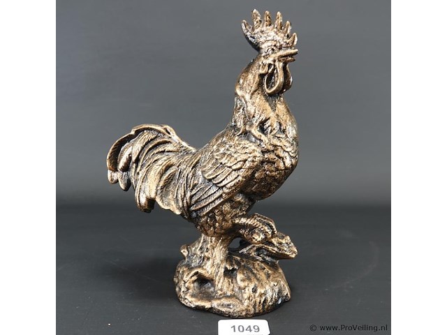 Haan - afbeelding 1 van  5