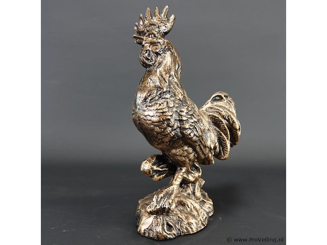 Haan - afbeelding 2 van  5