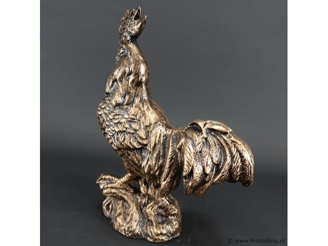 Haan - afbeelding 3 van  5