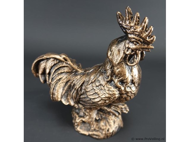 Haan - afbeelding 4 van  5