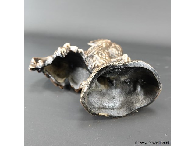 Haan - afbeelding 5 van  5