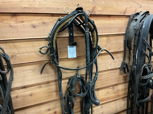 Hackney tuig - afbeelding 1 van  6