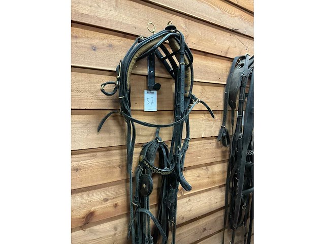 Hackney tuig - afbeelding 2 van  6