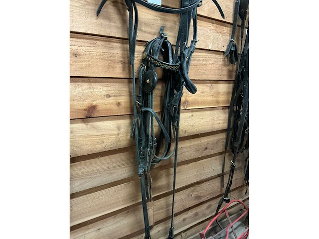 Hackney tuig - afbeelding 3 van  6