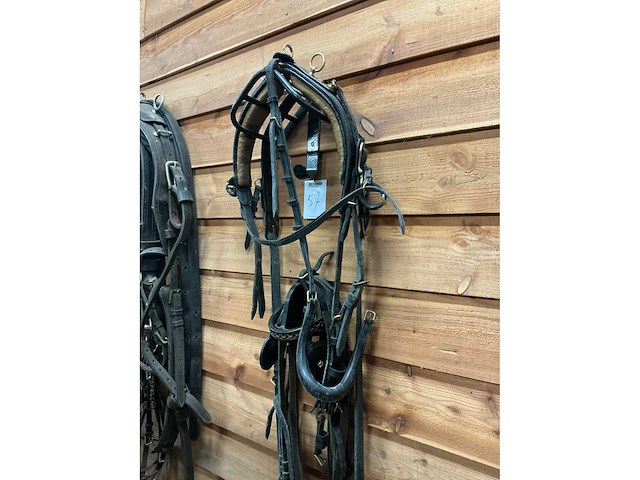 Hackney tuig - afbeelding 4 van  6