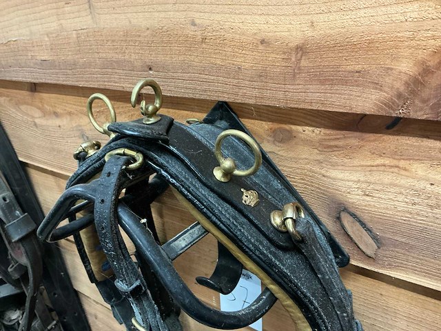 Hackney tuig - afbeelding 5 van  6