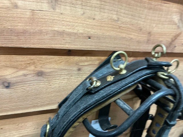 Hackney tuig - afbeelding 6 van  6