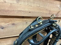 Hackney tuig - afbeelding 6 van  6