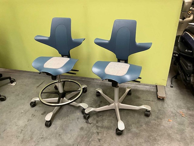 Häg capisco kruk ergonomisch (2x) - afbeelding 1 van  8