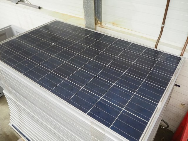 Hainan tingli - afbeelding 3 van  6