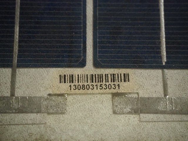 Hainan tingli - afbeelding 4 van  6