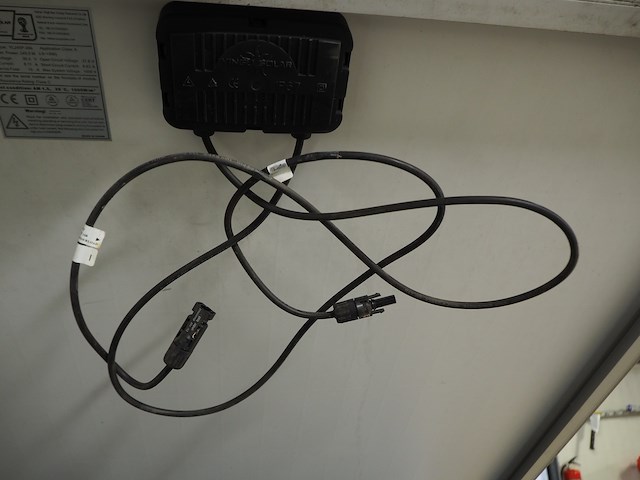 Hainan tingli - afbeelding 5 van  6