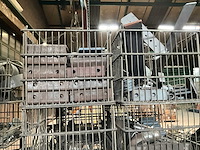 Halffabricaat - afbeelding 6 van  15