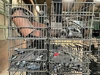 Halffabricaat - afbeelding 15 van  15