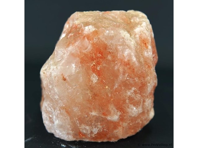 Haliet - afbeelding 2 van  5