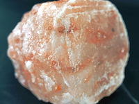 Haliet - afbeelding 5 van  5