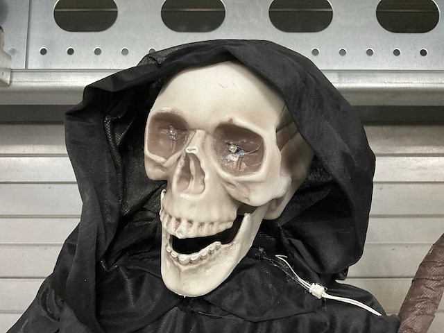 Halloween animatronic magere hein - afbeelding 3 van  5