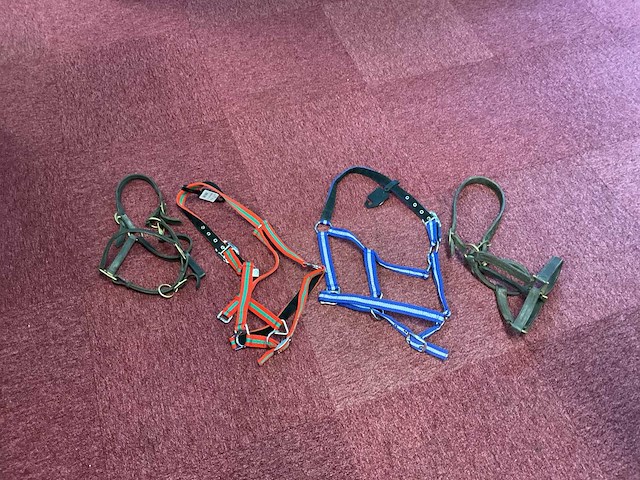 Halsters (4x) - afbeelding 1 van  3
