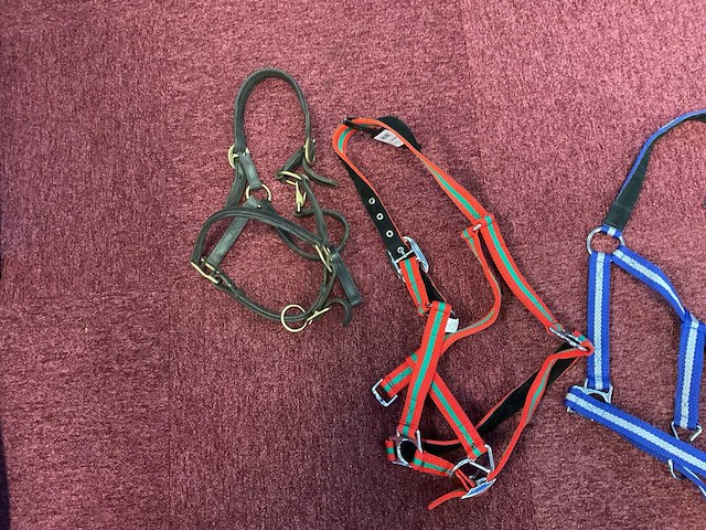 Halsters (4x) - afbeelding 2 van  3