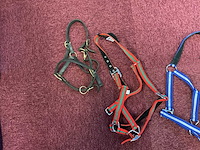 Halsters (4x) - afbeelding 2 van  3