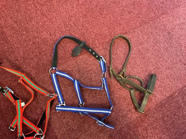 Halsters (4x) - afbeelding 3 van  3