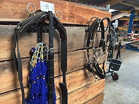Halsters en tuigage
