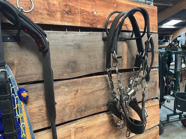 Halsters en tuigage - afbeelding 4 van  4
