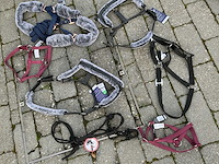 Halsters paarden (7x) - afbeelding 2 van  9