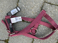 Halsters paarden (7x) - afbeelding 4 van  9