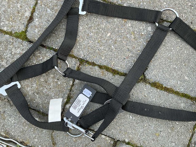 Halsters paarden (7x) - afbeelding 5 van  9