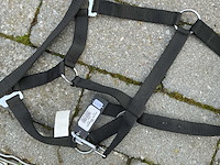 Halsters paarden (7x) - afbeelding 5 van  9