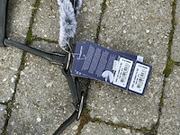 Halsters paarden (7x) - afbeelding 6 van  9