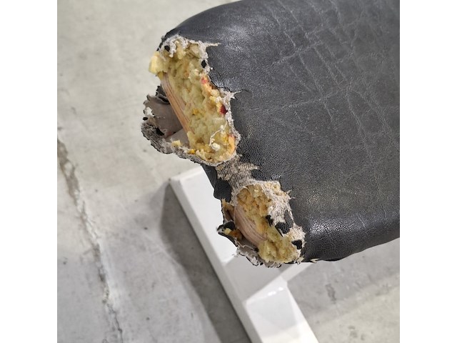 Halterbank, grun sport - afbeelding 6 van  10