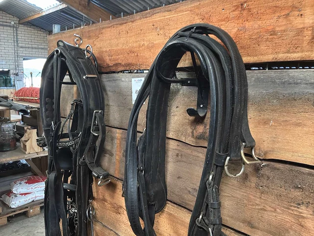 Halters and ropes - afbeelding 1 van  3