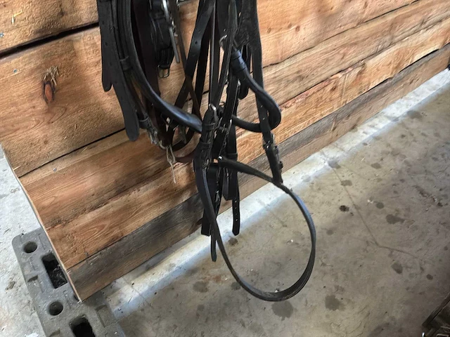 Halters and ropes - afbeelding 3 van  3