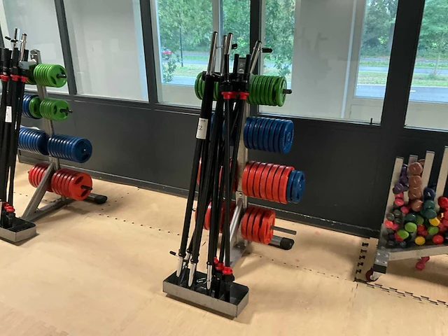 Halters en gewichten in rek - afbeelding 1 van  6