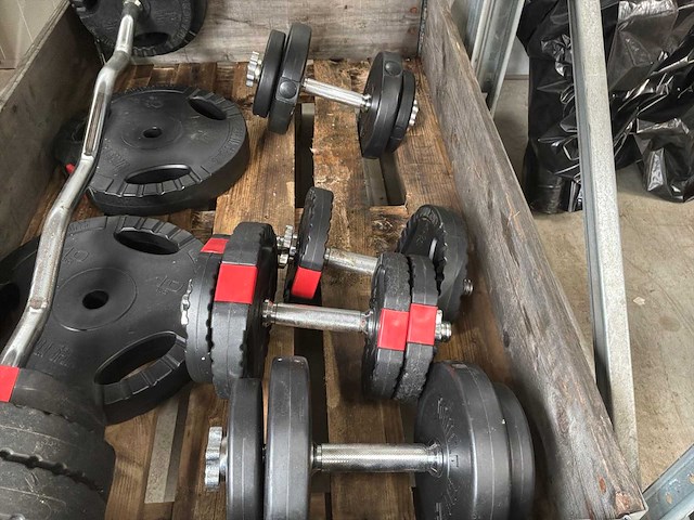 Halters en gewichten - afbeelding 3 van  3