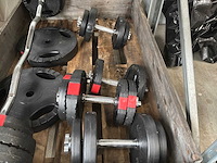 Halters en gewichten - afbeelding 3 van  3