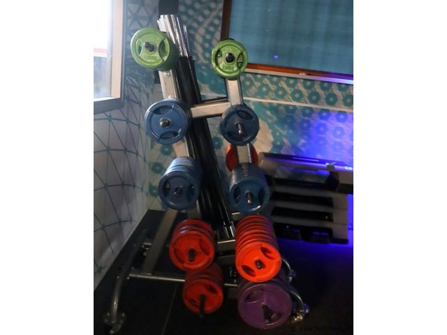 Halterschijven- en halterstangenrek - 130x120x160cm - afbeelding 4 van  9