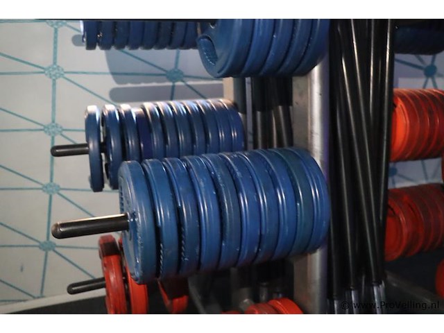 Halterschijven- en halterstangenrek - 130x120x160cm - afbeelding 6 van  9