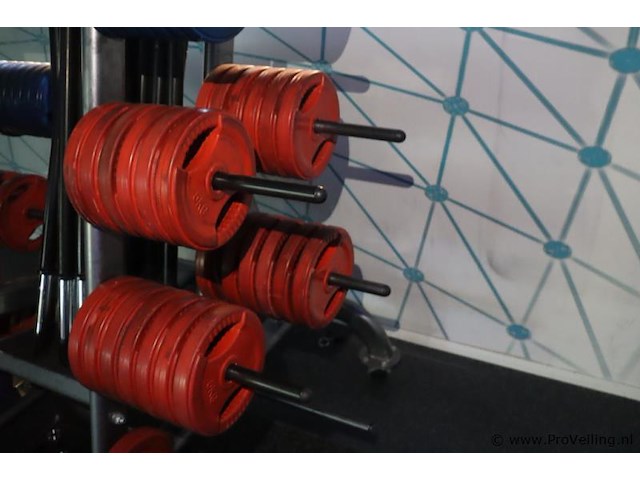 Halterschijven- en halterstangenrek - 130x120x160cm - afbeelding 8 van  9